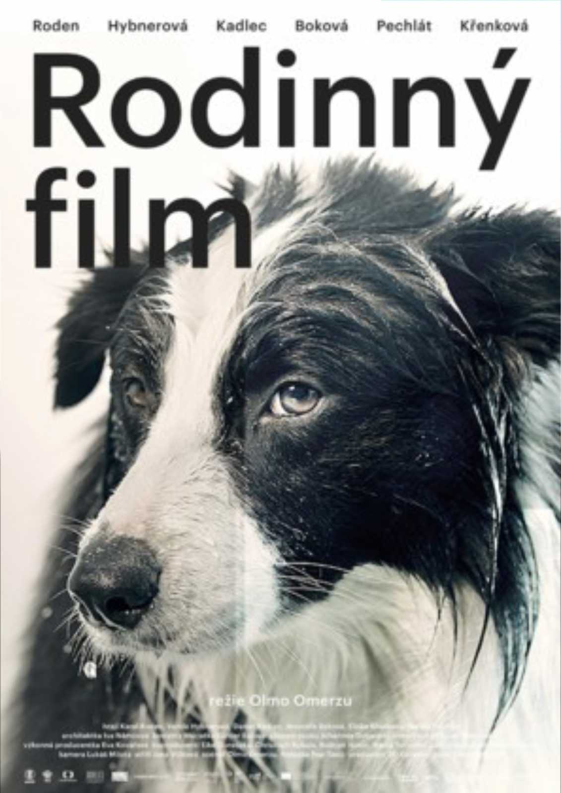 FAMILY FILM